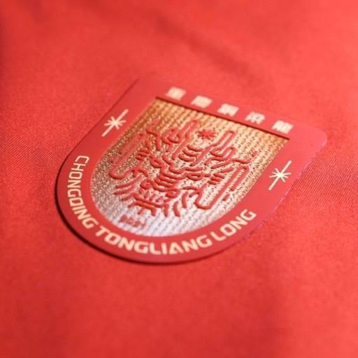 星空体育app-重庆铜梁龙公布教练组名单:刘建业挂帅,黄希扬转型担任助教